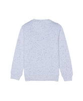 Boys Printed Round Neck Sweatshirt